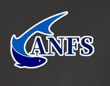 ANFS