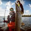 383 Pcs Fishing Lures Tackle Box Bass Fishing Animated Lure Crankbaits Spinnerbaits Soft Plastic Worm Saltwater Freshwater Fishing Kit