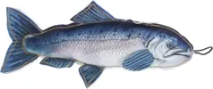 SteelDog - Denim Chinook