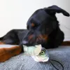 SteelDog - Denim Perch