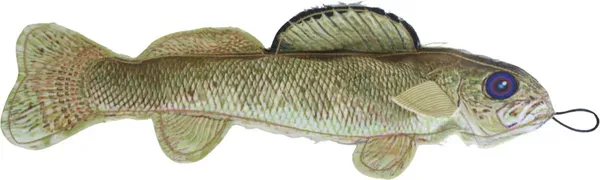 SteelDog - Denim Walleye