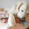 SteelDog - Denim Rainbow Trout